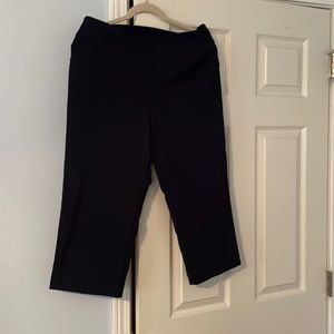 Ruby Rd. Size 10 navy capris